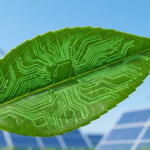 Green Hosting & Βιώσιμο Web Design: Γιατί το Ψηφιακό Σου Αποτύπωμα Έχει Σημασία το 2026